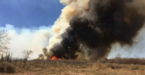 Wild Fire in Australia