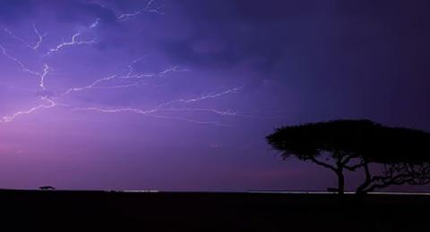 Saudi Arabia suspends in-person classes in Madinah as heavy rain triggers shift to remote learning