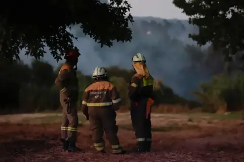 Forest Fire incentral Spain